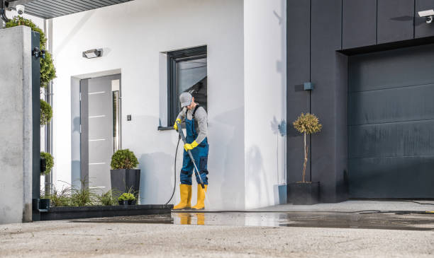 Best House Exterior Washing  in Parkland, WA